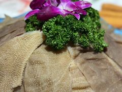 -鼎尚鲜斑鱼莊(新天润店)