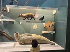 -国家自然博物馆