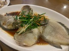 清蒸太阳鱼-大唐靓汤江门私房菜(景田店)