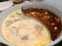 -青瓷火锅料理(西单大悦城店)