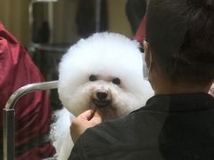 -宠物家(双井店)