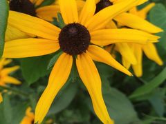 -长春公园(普阳街道)