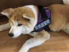 -YCHL Studios健身工作室(市二宫店)