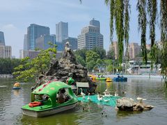 -团结湖公园