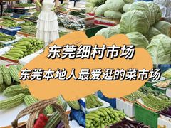 -细村农贸综合市场