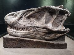 -自贡恐龙博物馆