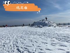 -阳台山自然风景区