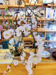 -今日陶艺(富力广场店)