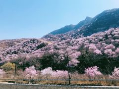 -妙峰山风景名胜区