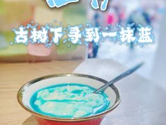 -古树酸奶(八廓南街店)