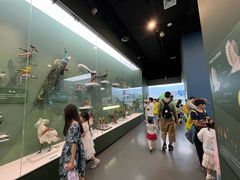 -国家自然博物馆