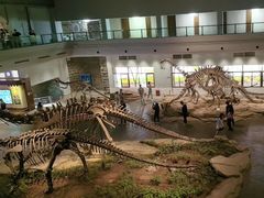 -自贡恐龙博物馆