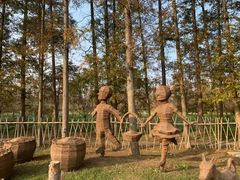 -上海长兴岛郊野公园