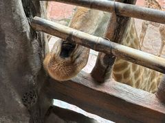 -长鹿旅游休博园