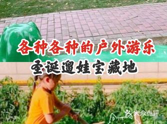 各种各样的户外游乐~圣诞遛娃宝藏地！