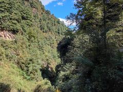 -苍山感通索道