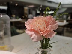 -大树餐厅(环球港店)