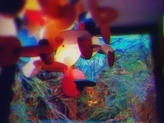 -YECLIP COFFEE黄色回形针咖啡