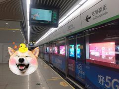 -星海广场(地铁站)