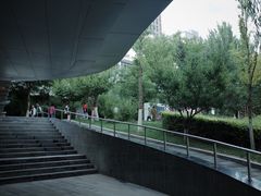 -雁滩公园