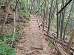 -莫干山风景区