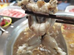 -铭记蛙小仙·活蛙畅享(CBD万达广场店)