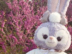 -迪士尼小镇