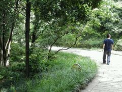 android_upload_pic-南山风景名胜区
