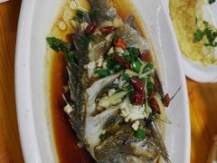 海鲫鱼-阿杰臻选海鲜饭店(普陀山店)