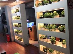 -网鱼电竞(上海青浦朱家角店)