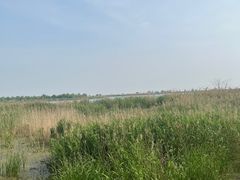 -合肥滨湖国家森林公园