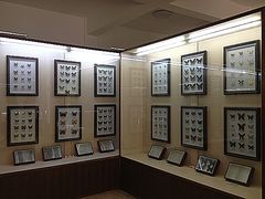 -下渚湖国家湿地公园科普馆