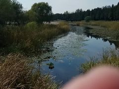 -太湖湖滨国家湿地公园-停车场