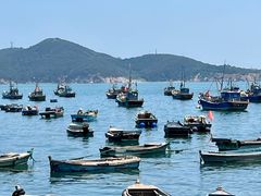 -海源公园