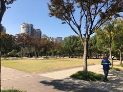 -新江湾城公园