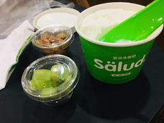 -Salud撒露欧洲冻酸奶(798艺术区店)