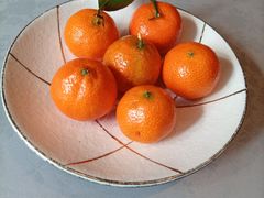 -沈灶河豚宴·河豚融合餐厅(汉中路店)