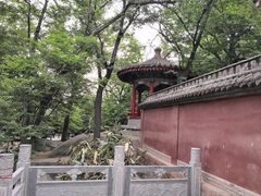 -玉泉院