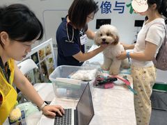 -南宁国际会展中心