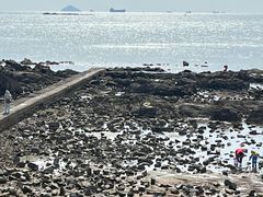 -青岛第二海水浴场