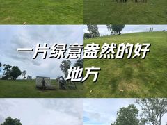 -深圳人才公园