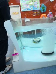 -海豚啵啵体智能游泳馆(惠山万达广场店)