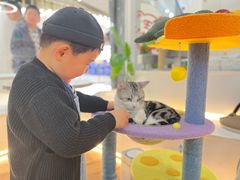 -COLOR PETS 撸猫馆·购猫·猫咖(长风大悦城店)