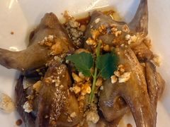 -百利鸽王(紫薇路店)