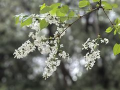 -北京市劳动人民文化宫(太庙)