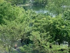 -古美路街道图书馆