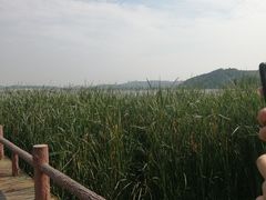-东湖落雁景区