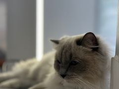 -FULL MOON满月咖啡