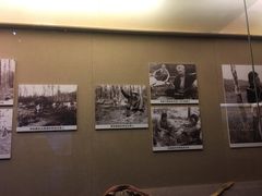 -呼伦贝尔民族博物馆