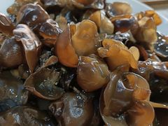 木耳-理塘县特色砂锅牦牛肉馆